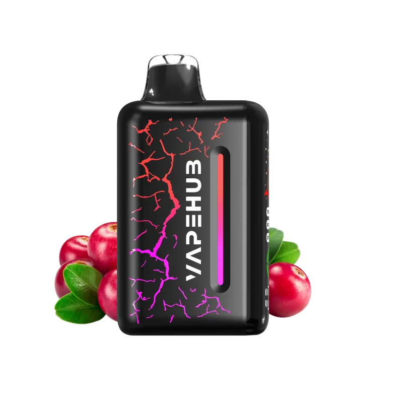 MIDNIGHT BERRY CHILL – VAPEHUB ULTRA 20000